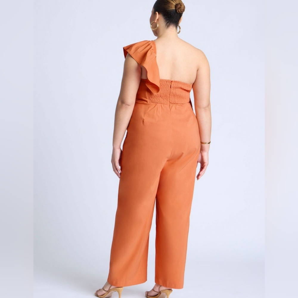 ⏳️LAST CHANCE⏳️ Ruffle Jumpsuit - Picture 2 of 4